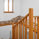 別荘 4 Bedroom Awesome In Vlasici - Kršan